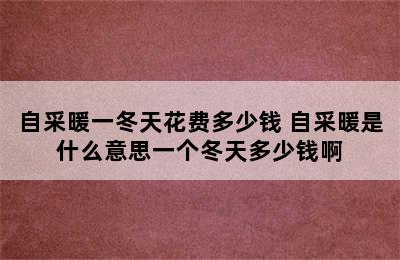 自采暖一冬天花费多少钱 自采暖是什么意思一个冬天多少钱啊